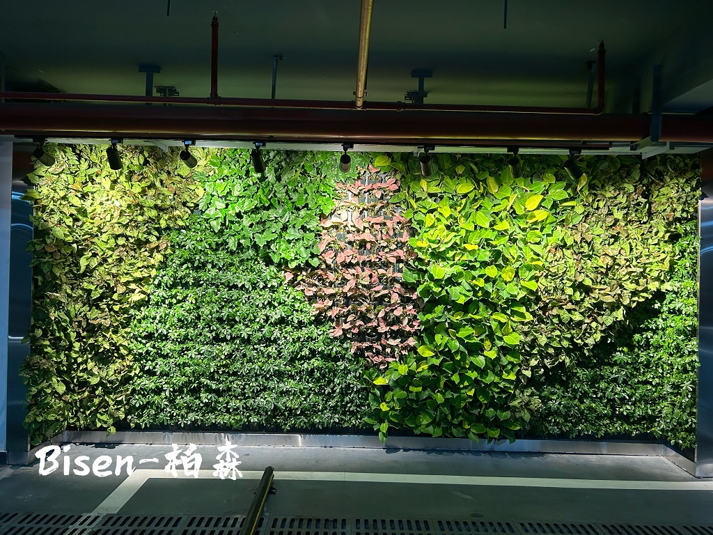 深圳水貝壹號